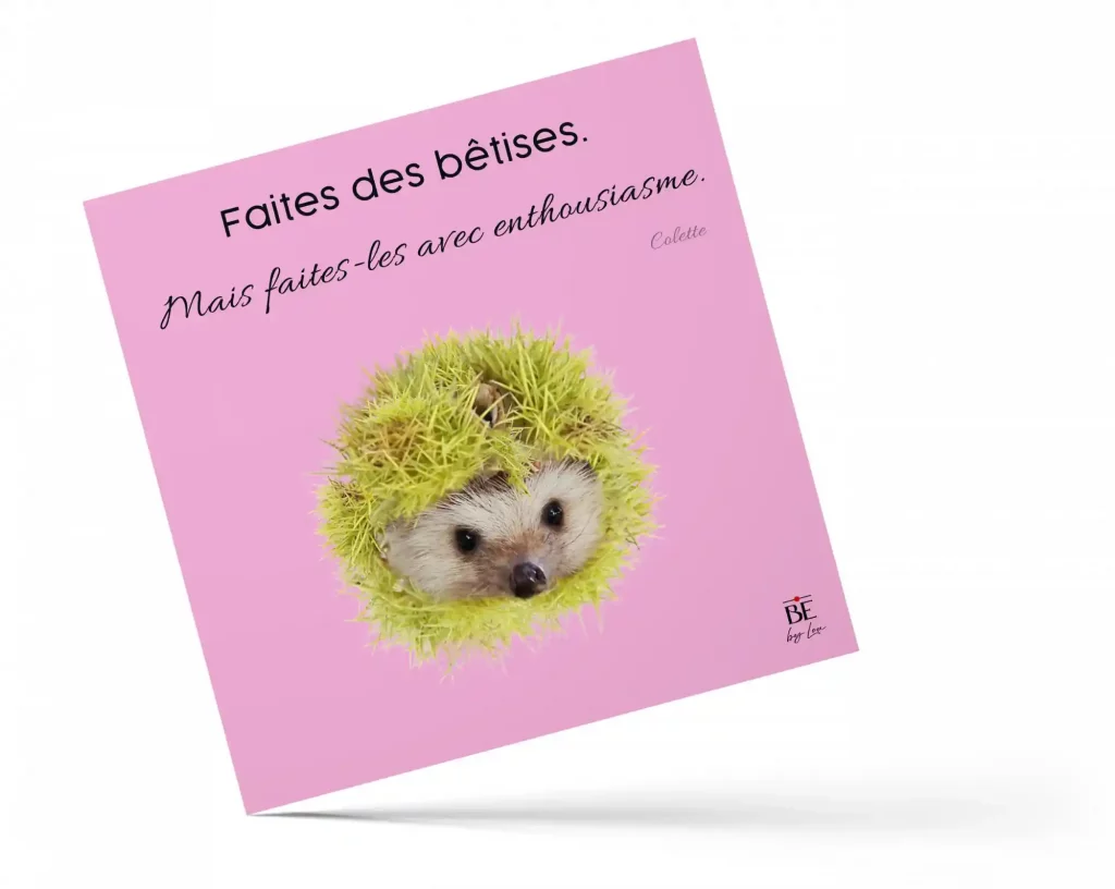créations visuelles