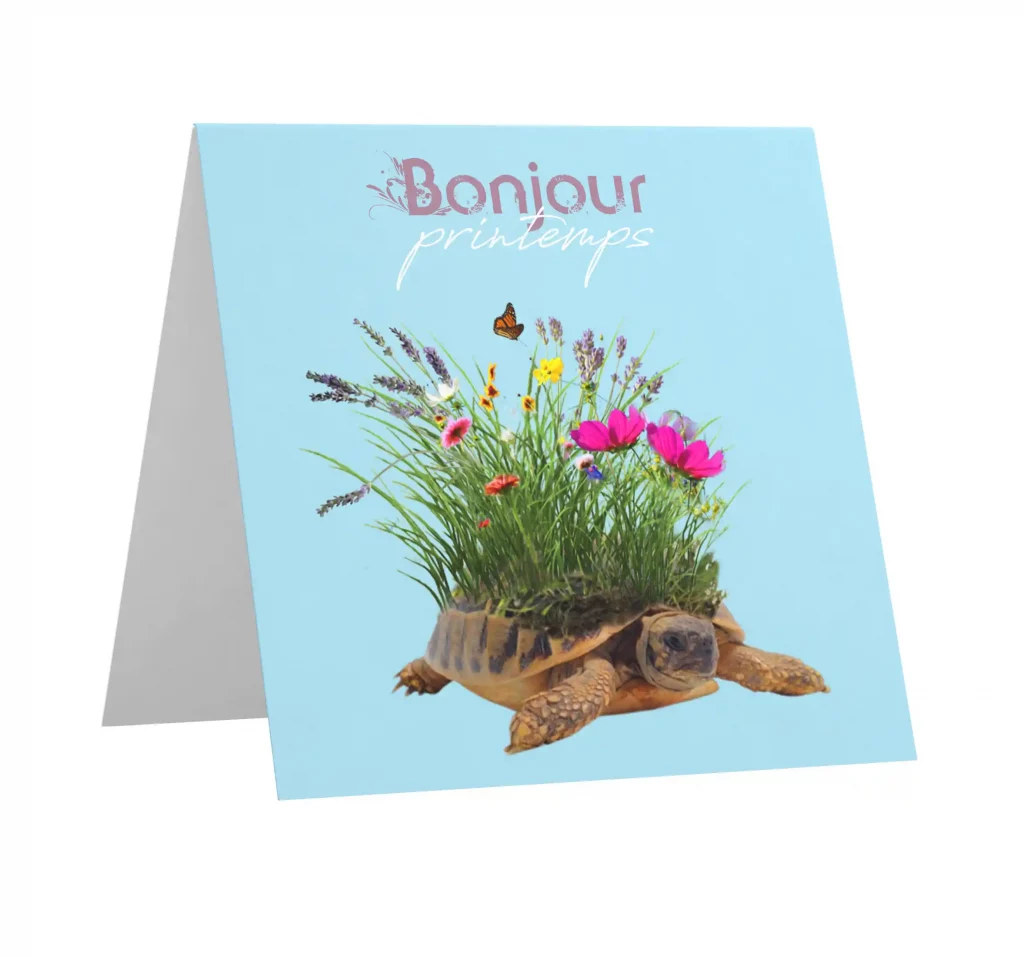carte postale créative