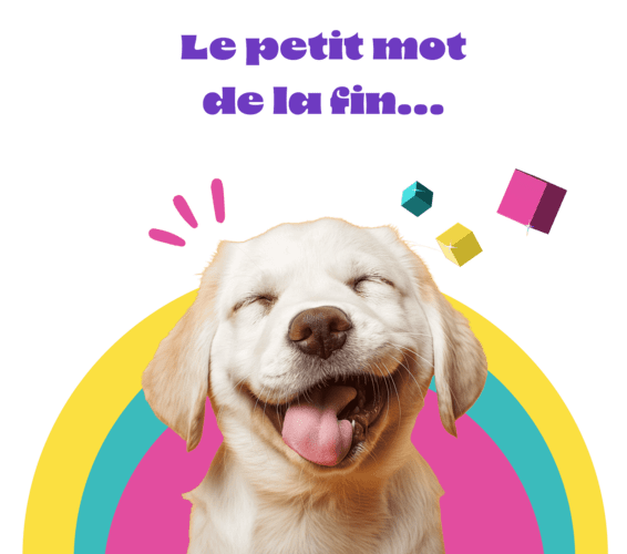 Packs communication d'entreprise